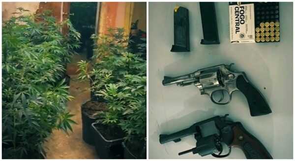 PM prende traficante com estufa de maconha e 77kgs da droga em Itapevi pm-prende-traficante-com-estufa-de-maconha-e-77kgs-da-droga-em-itapevi